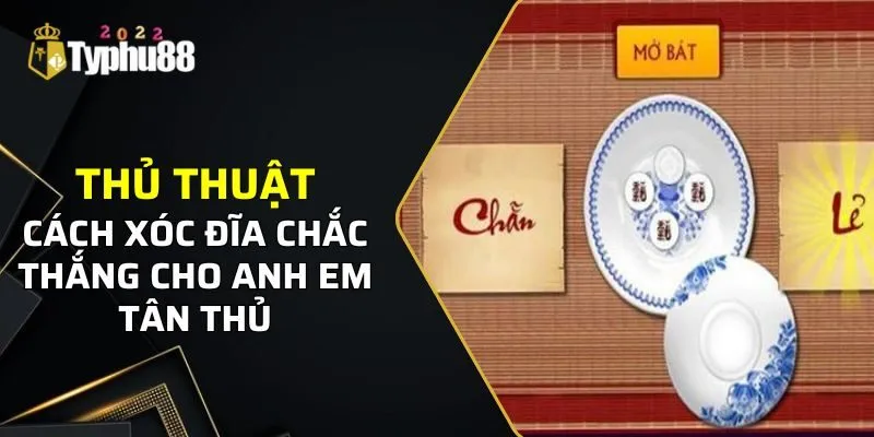 Typhu88 Hướng Dẫn Cách Xóc Đĩa Chuẩn Cho Tân Thủ 2024 3 Mẹo chơi xóc đĩa hữu ích giúp người chơi thắng lớn
